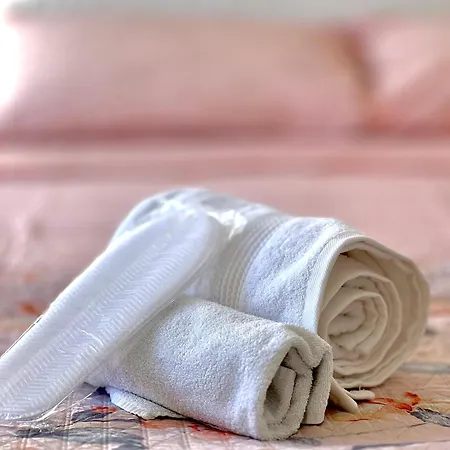 Luxury House Apartment