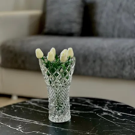 Appartement Luxury House