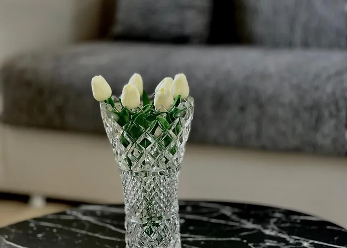 Apartmán Luxury House